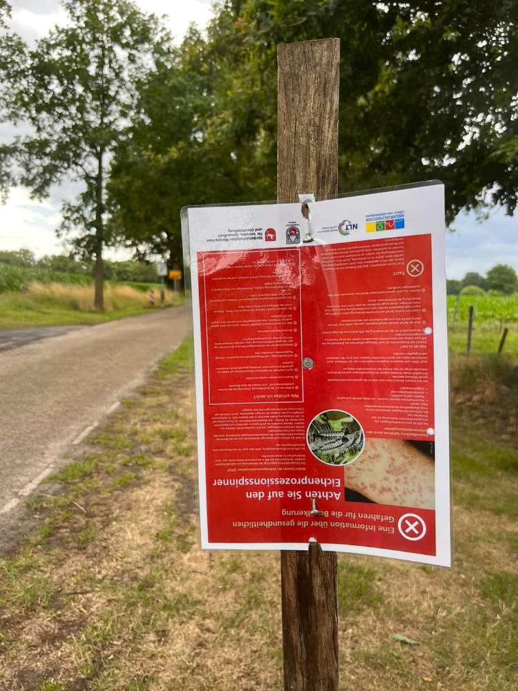 Giftköder-Eichenprozessionsspinner in Wüsting-Profilbild