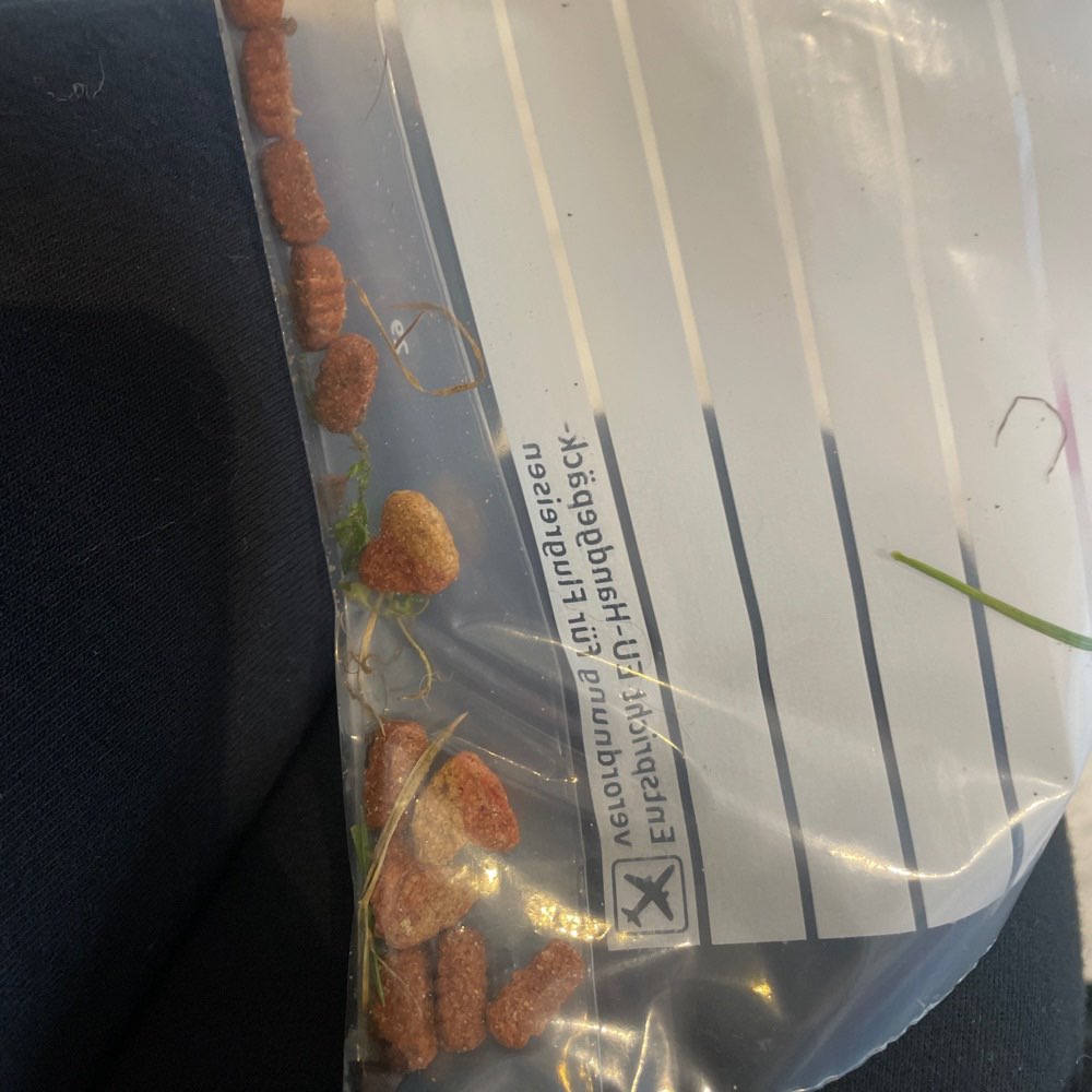 Giftköder-Giftköder - in Löchern um Maulwurfshügel-Profilbild