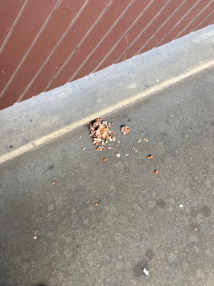 Giftköder-Giftköder Verdacht auf Brücke !-Profilbild