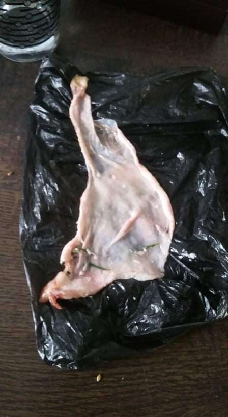 Giftköder-Vergammelte Hähnchenhaut  (köder?)-Profilbild