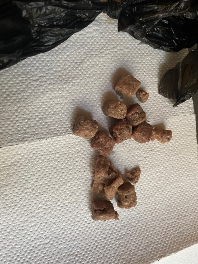 Giftköder-Ausgelegtes Trockenfutter-Profilbild