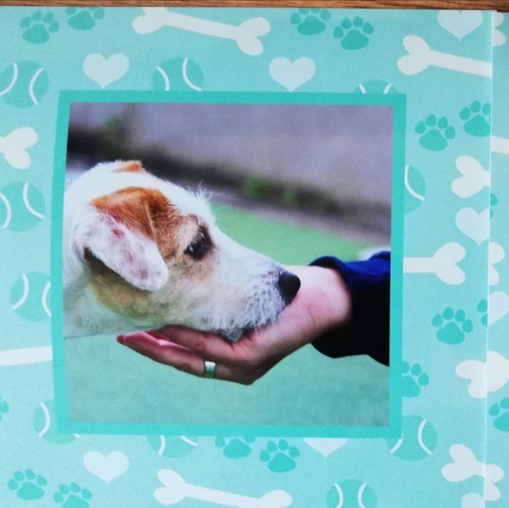 Hundetreffen-Handicap Hundetraining-Profilbild