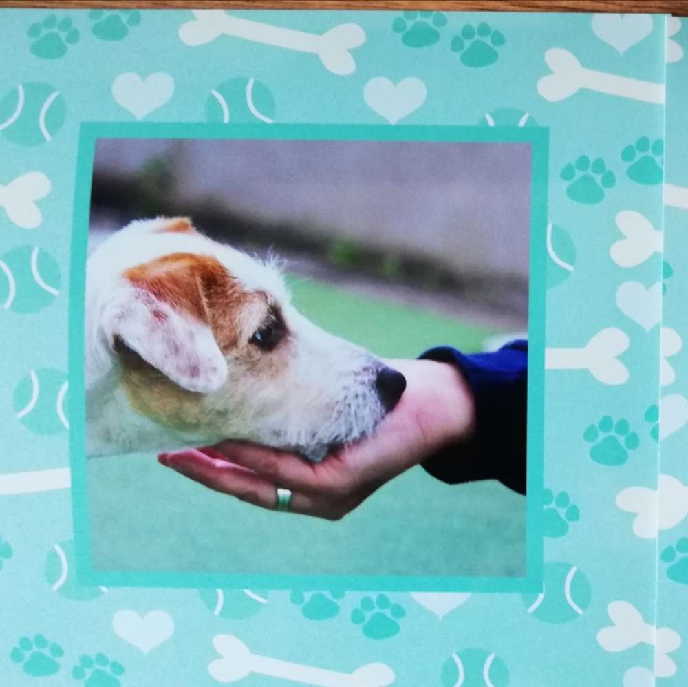 Hundetreffen-Handicap Hundetraining-Profilbild