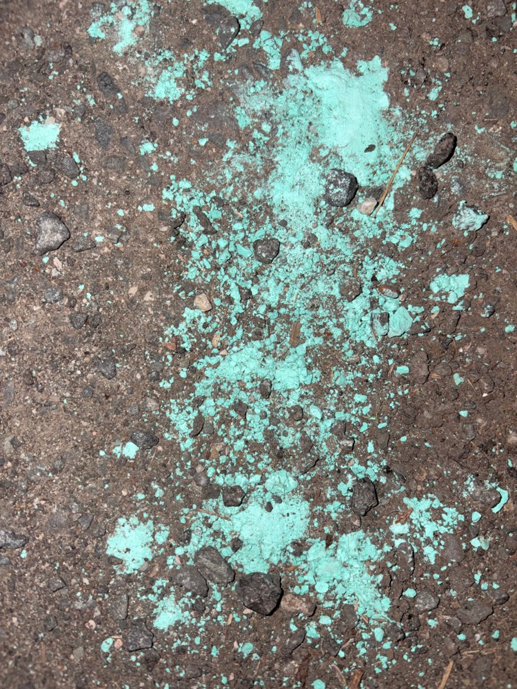 Giftköder-Giftig-Profilbild