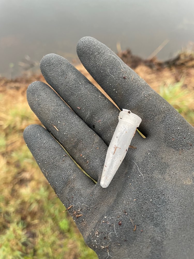 Giftköder-Röhrchen mit weißen Pulverresten-Profilbild