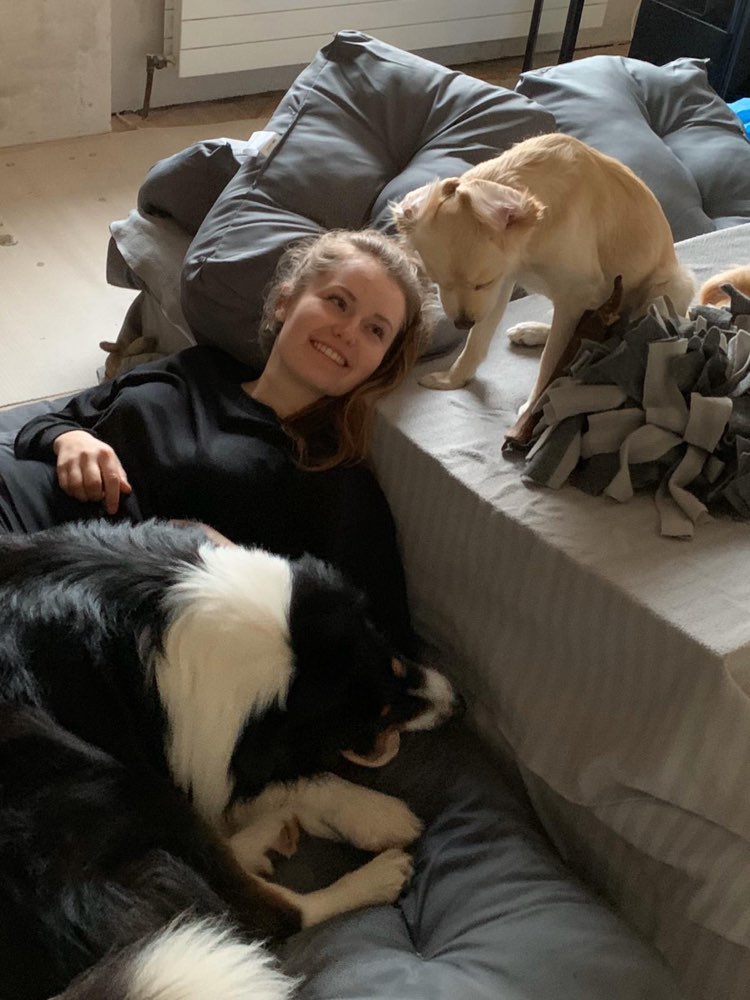 Hundetreffen-Duos zum gemeinsamen Gassigehen oder Caniwalk / Canijog gesucht-Profilbild