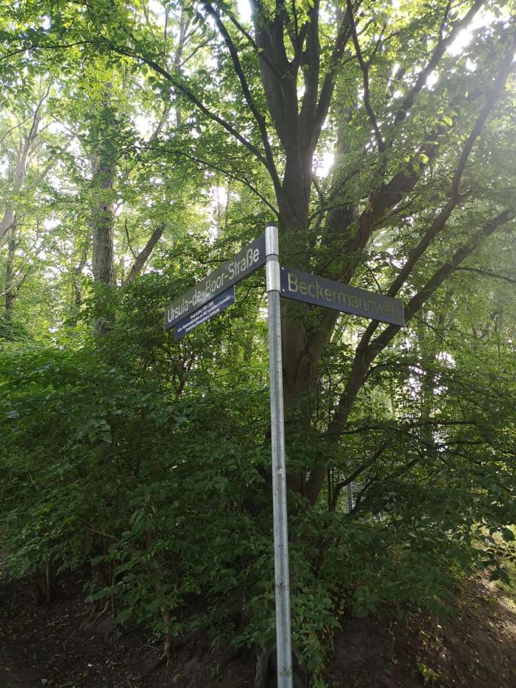 Giftköder-Giftköder-Profilbild