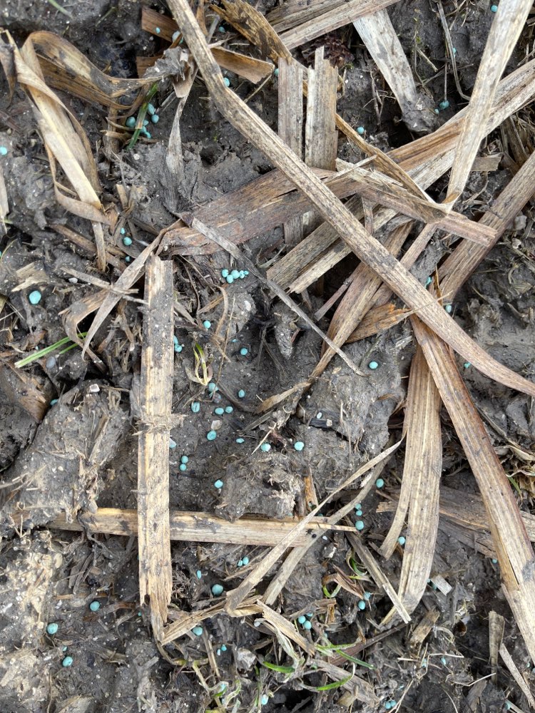 Giftköder-Schneckenkorn-Profilbild