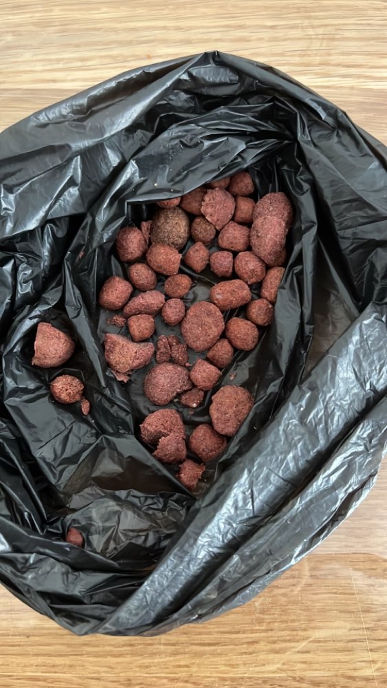 Giftköder-Eventl. Giftköder-Profilbild