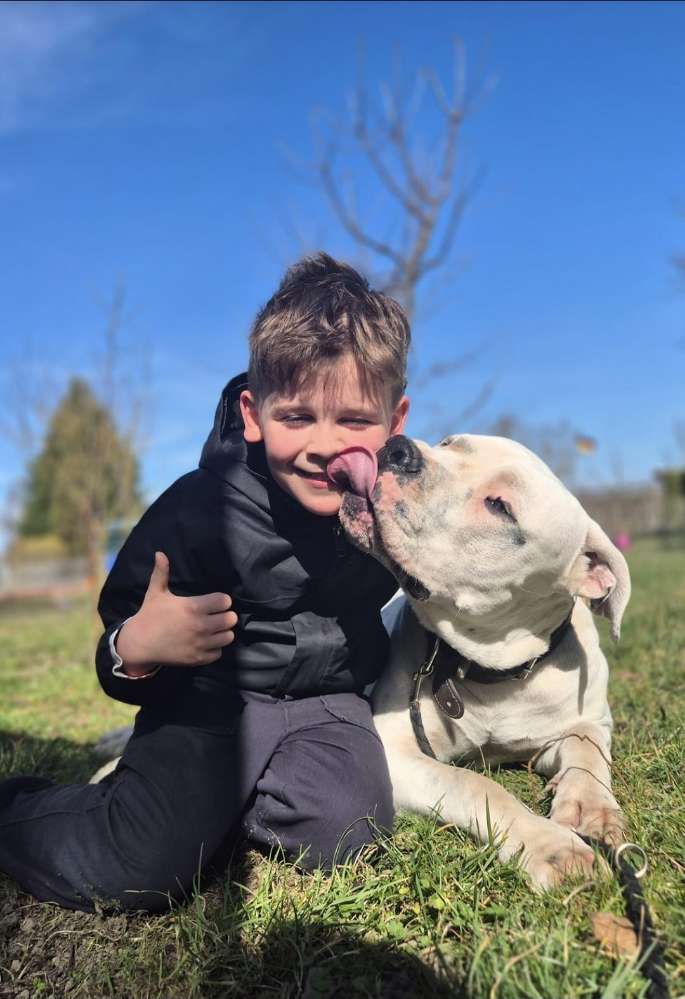 Hundetreffen-Spielfreunde gesucht-Profilbild