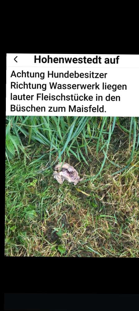 Giftköder-Vermutliche Giftköder!-Profilbild