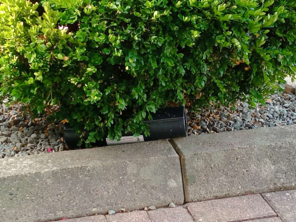 Giftköder-Rattengift-Profilbild