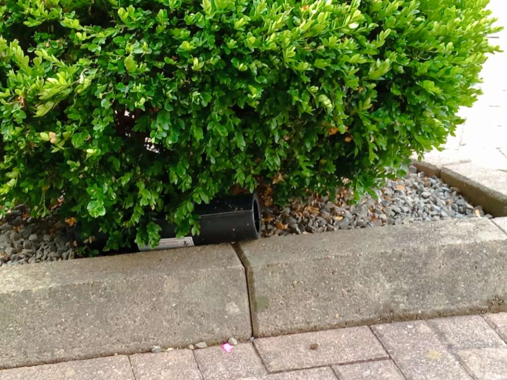 Giftköder-Rattengift-Profilbild