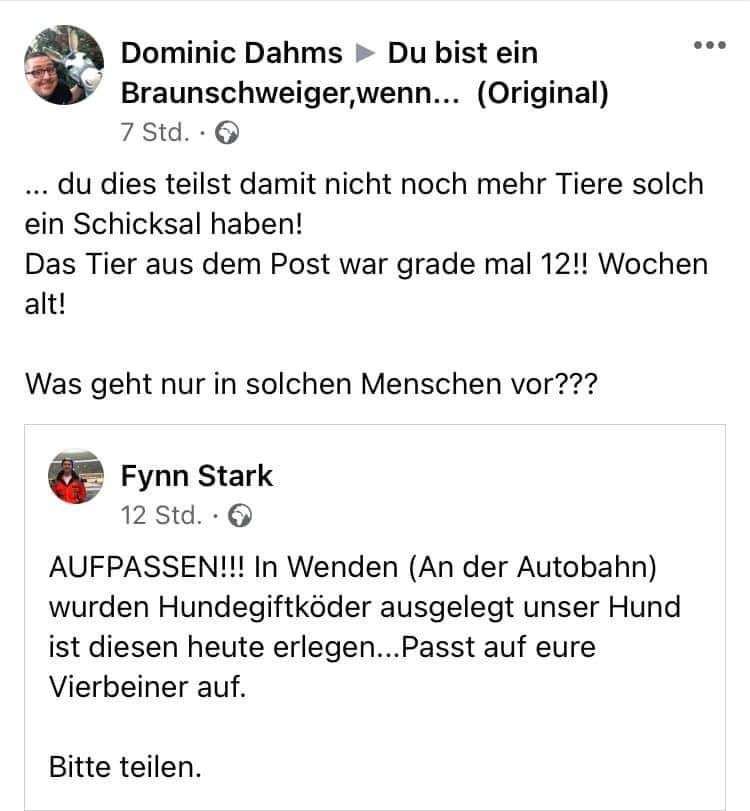 Giftköder-Giftköder-Profilbild