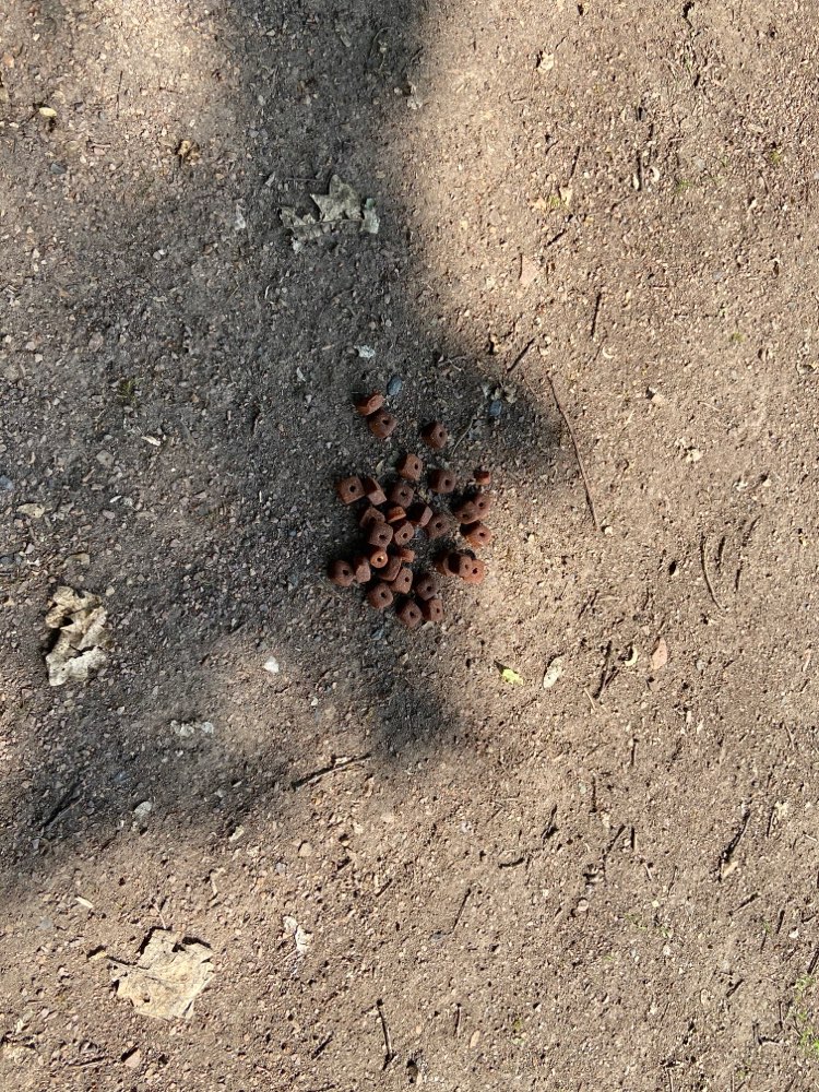 Giftköder-Trockenfutter-Profilbild