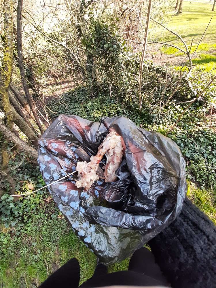 Giftköder-Knochen im Gebüsch-Profilbild