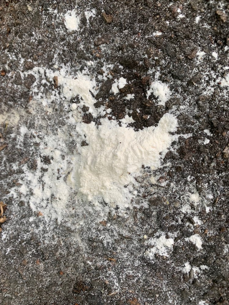 Weißes Pulver Volkspark Prenzlauer Berg in Berlin 19. Juli 2022 Dogorama App