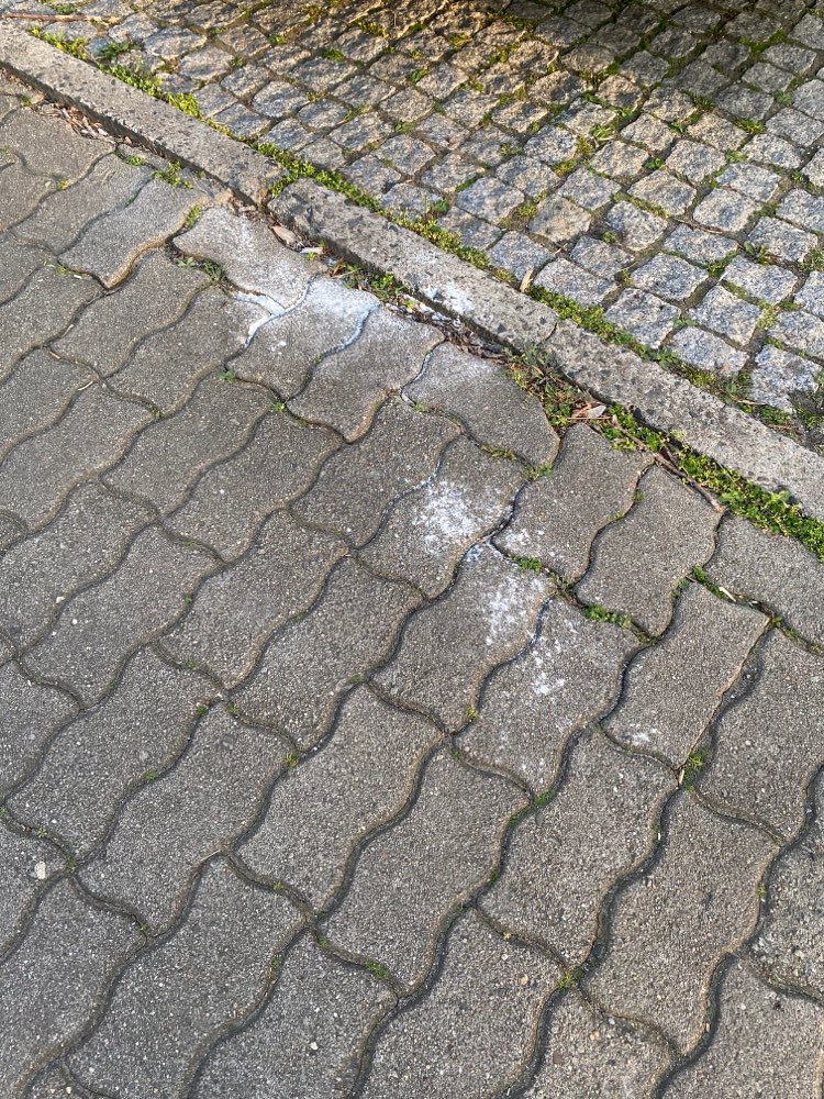 Giftköder-Weißes Pulver-Profilbild