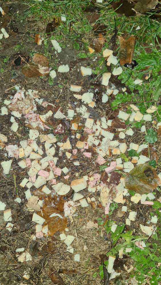 Giftköder-Möglicher Giftköder: Fleisch, Wurst, ...-Profilbild