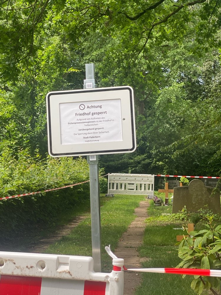 Giftköder-Eichenprozessionsspinner-Profilbild