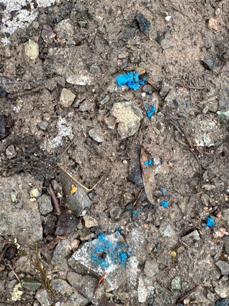 Giftköder-Möglicherweise Rattengift-Profilbild