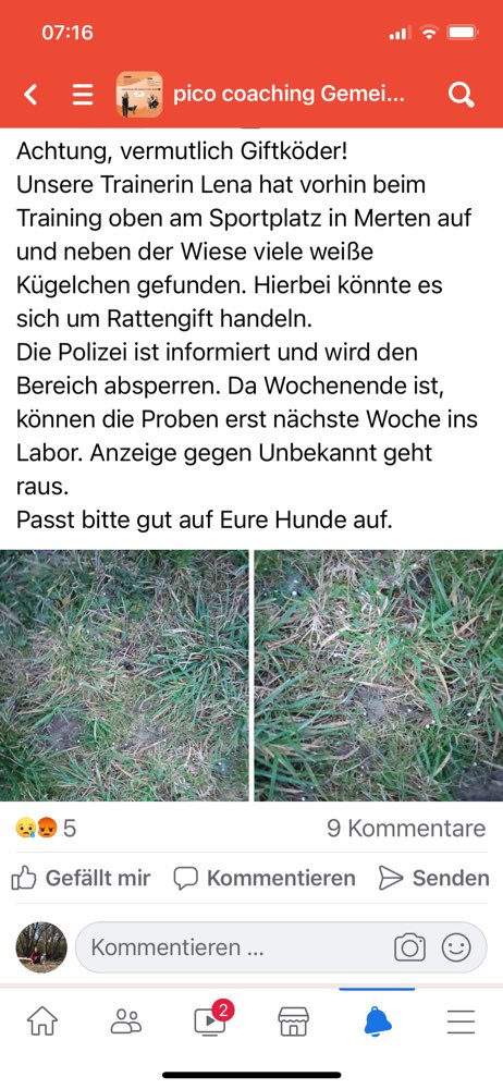 Giftköder-Giftköder-Profilbild