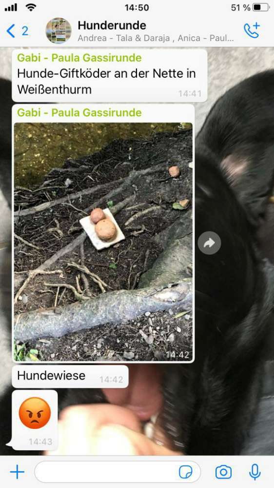 Giftköder-Giftköder an der Nette-Profilbild