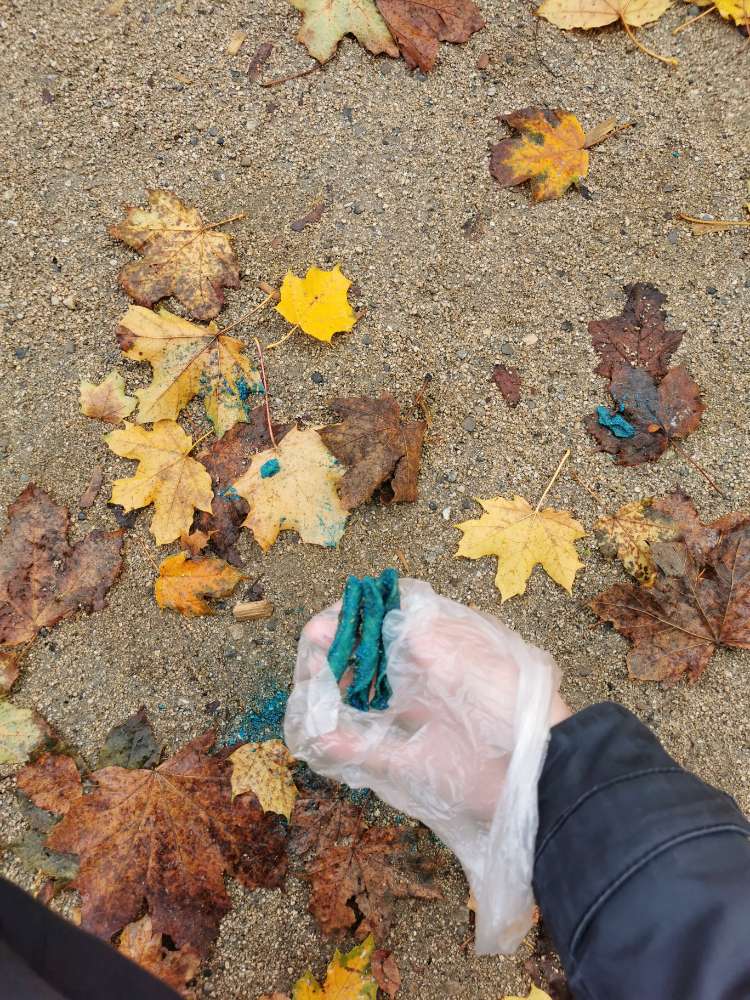 Giftköder-Komisches blaues Pulver mit Stücken-Profilbild