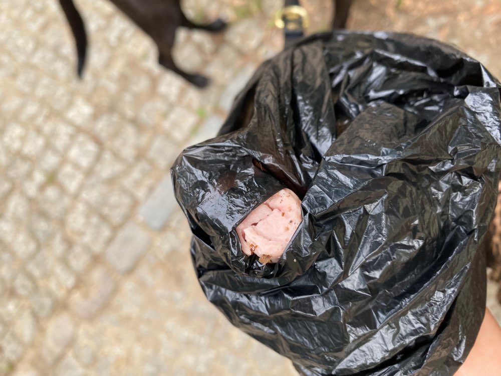 Giftköder-Wiener Würstchen Stücke auf dem Weg-Profilbild