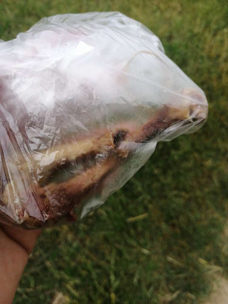 Giftköder-knochen-Profilbild