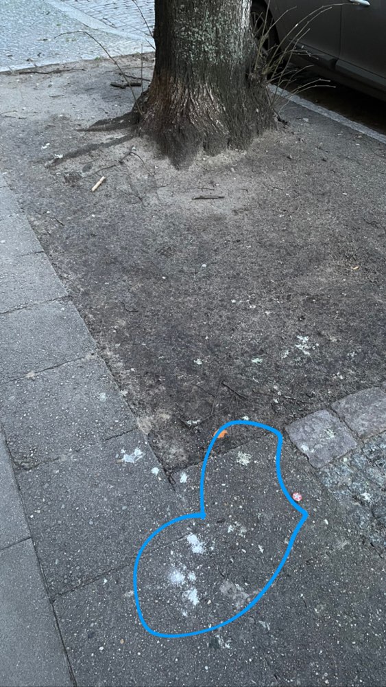 Giftköder-Weißes Pulver aufm Gehweg.-Profilbild