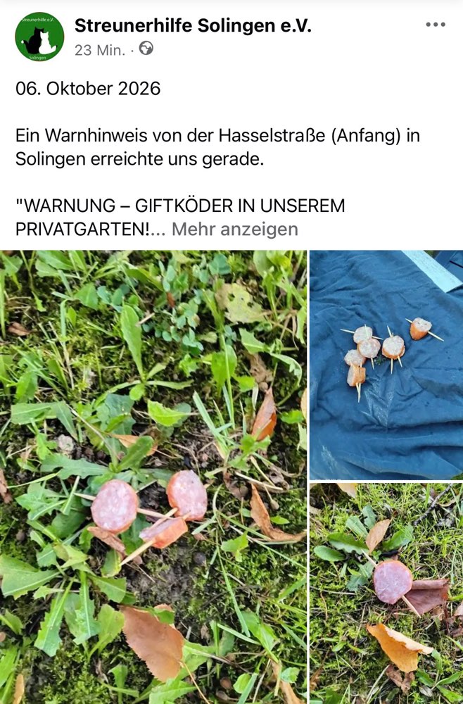Giftköder-Giftköder in Privatgarten ausgelegt!-Profilbild