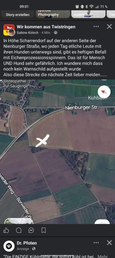 Giftköder-Eichenprozessionsspinner-Profilbild