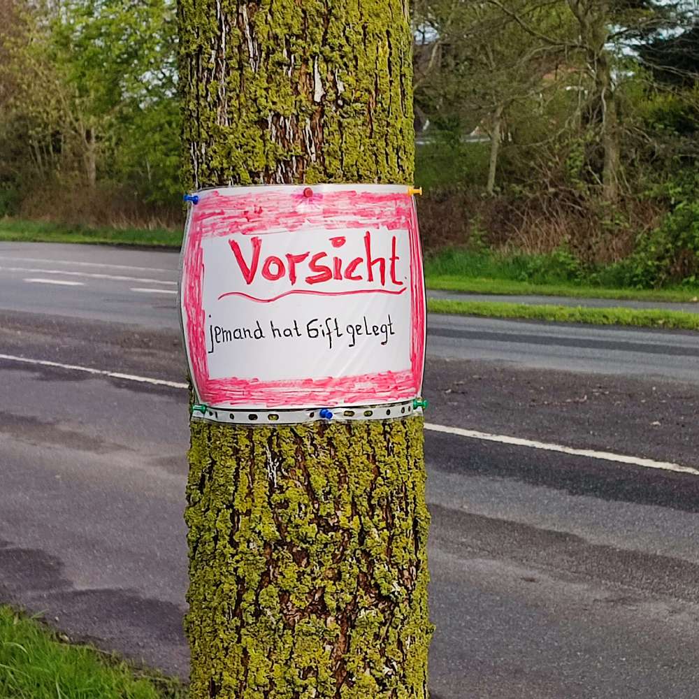 Giftköder-Gift-Profilbild