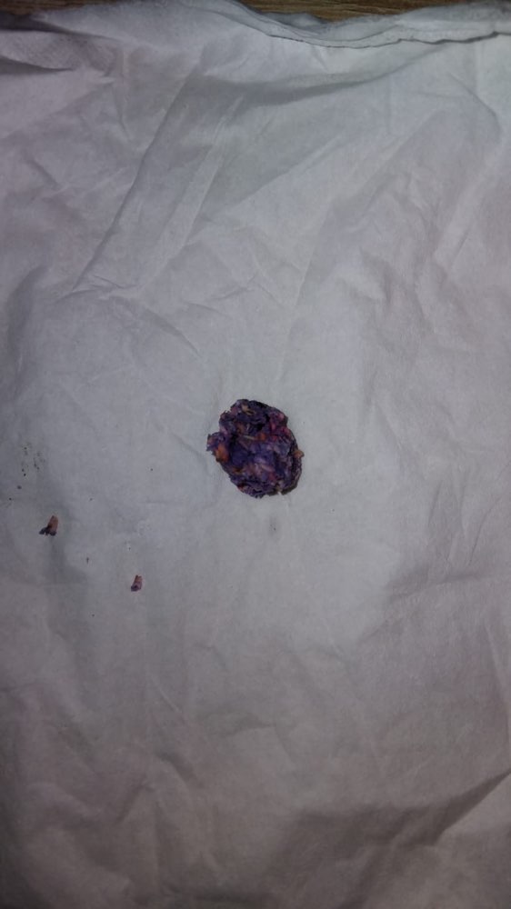 Giftköder-Giftköder-Profilbild