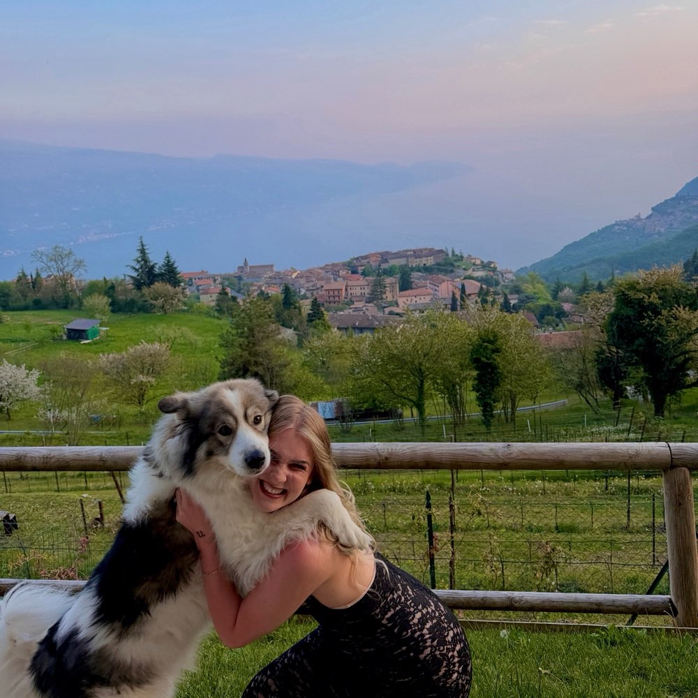 Hundetreffen-Spaziergang mit Buddy in Steinheim-Profilbild
