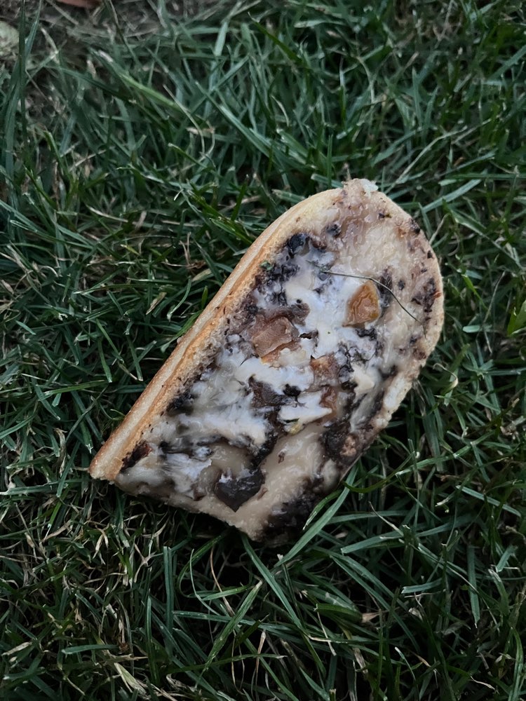 Giftköder-Brotstück mit seltsamen Aufstrich-Profilbild