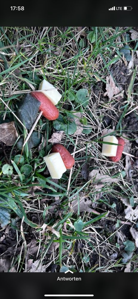 Giftköder-Wurstspieße-Profilbild