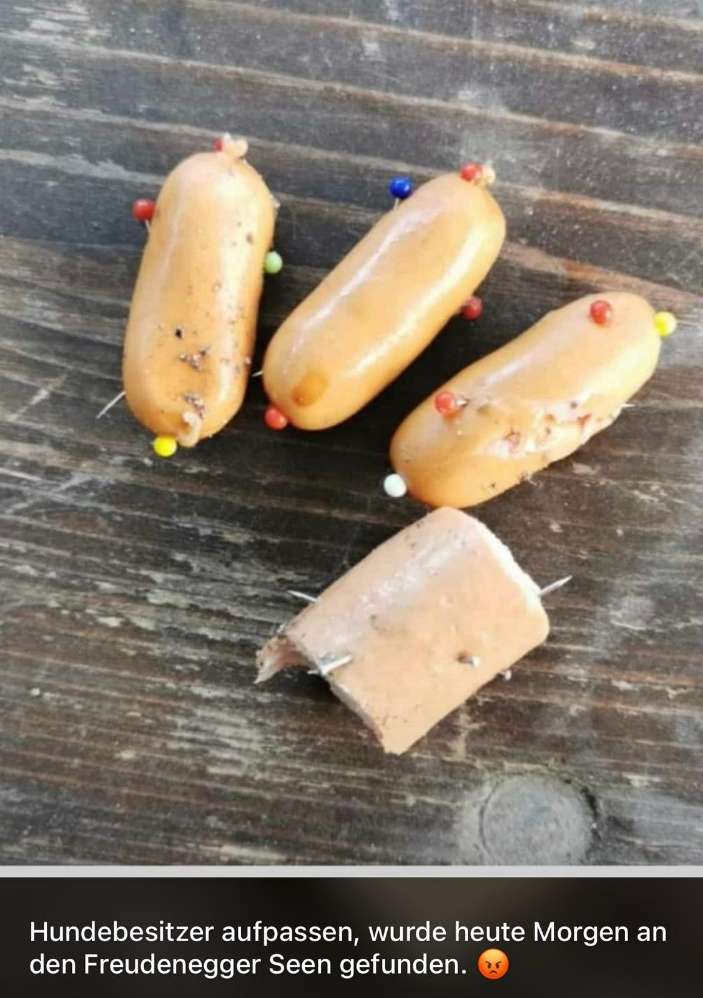 Giftköder-Achtung! Würstchen mit Nadeln-Profilbild