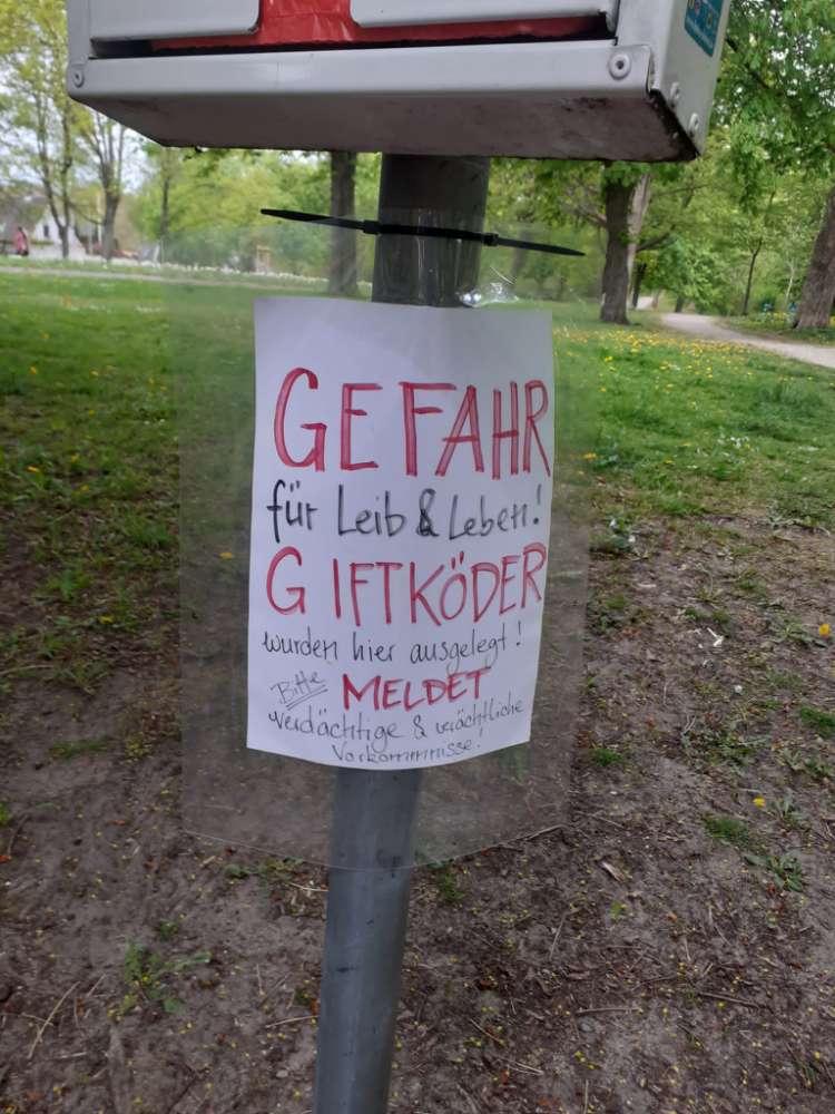 Giftköder-Gitköder nähe Hundestrand, weiträumig-Profilbild