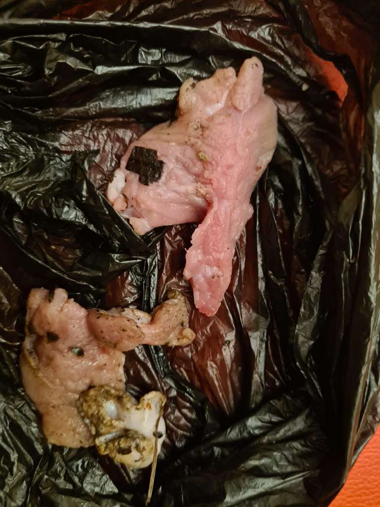 Giftköder-Fleischstücke im Grünstreifen-Profilbild