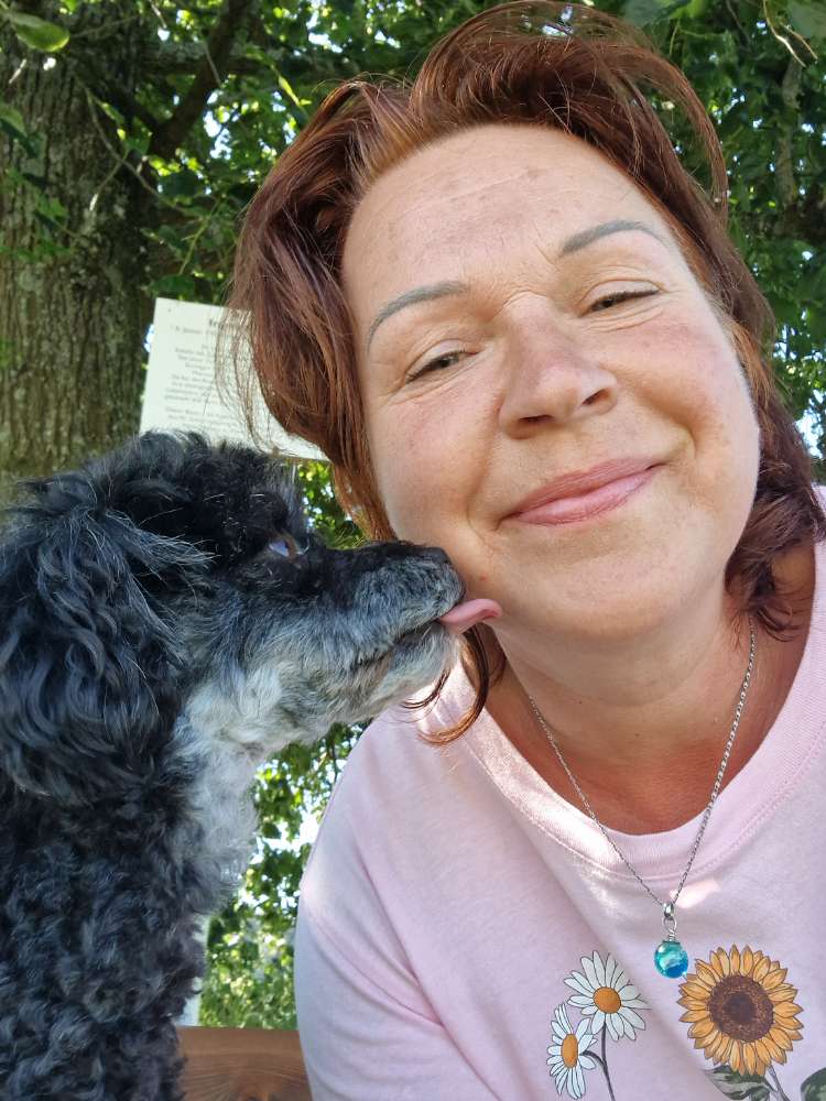 Hundetreffen-Gemeinsame Spaziergänge-Profilbild