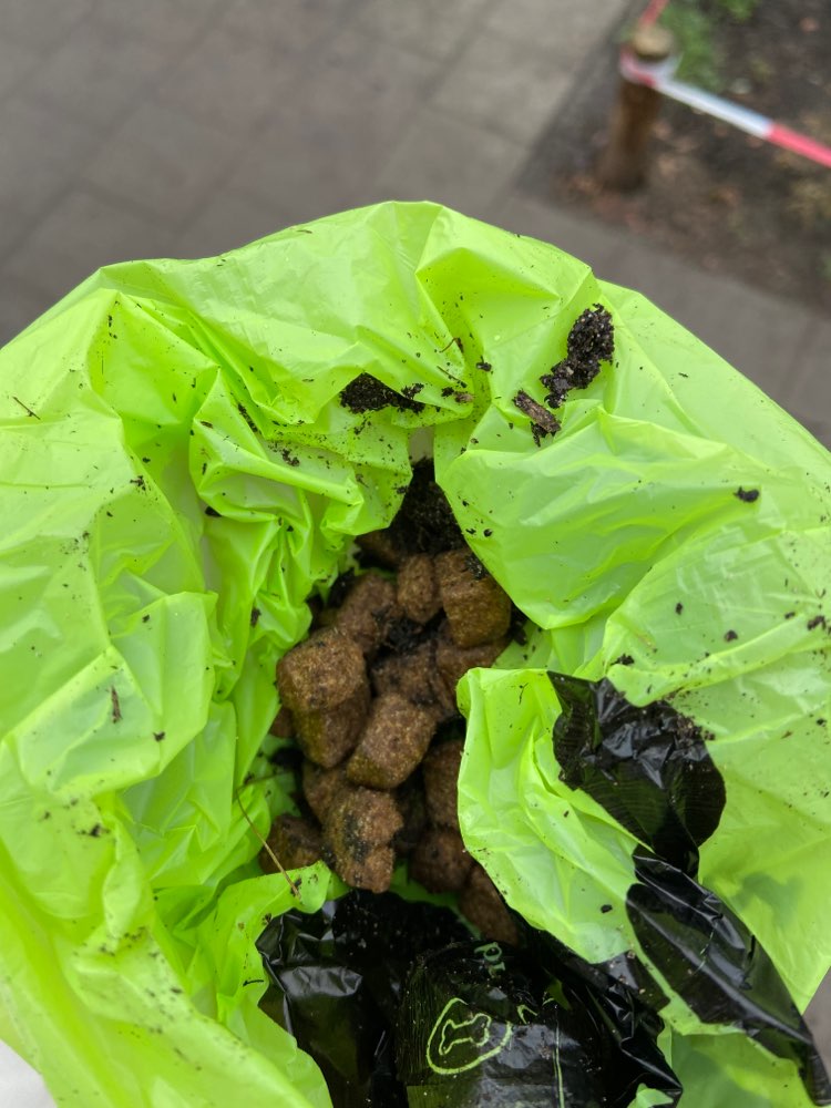 Giftköder-Evtl. Hundefutter auf Grünfläche-Profilbild