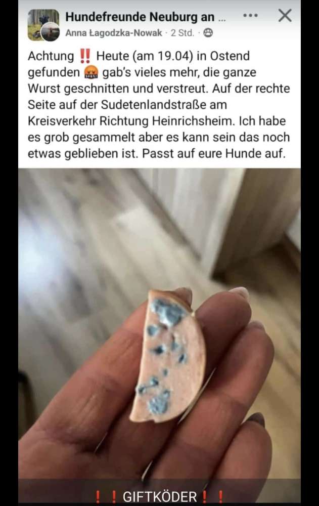 Giftköder-Giftköder Neuburg Ostend Kreisel-Profilbild