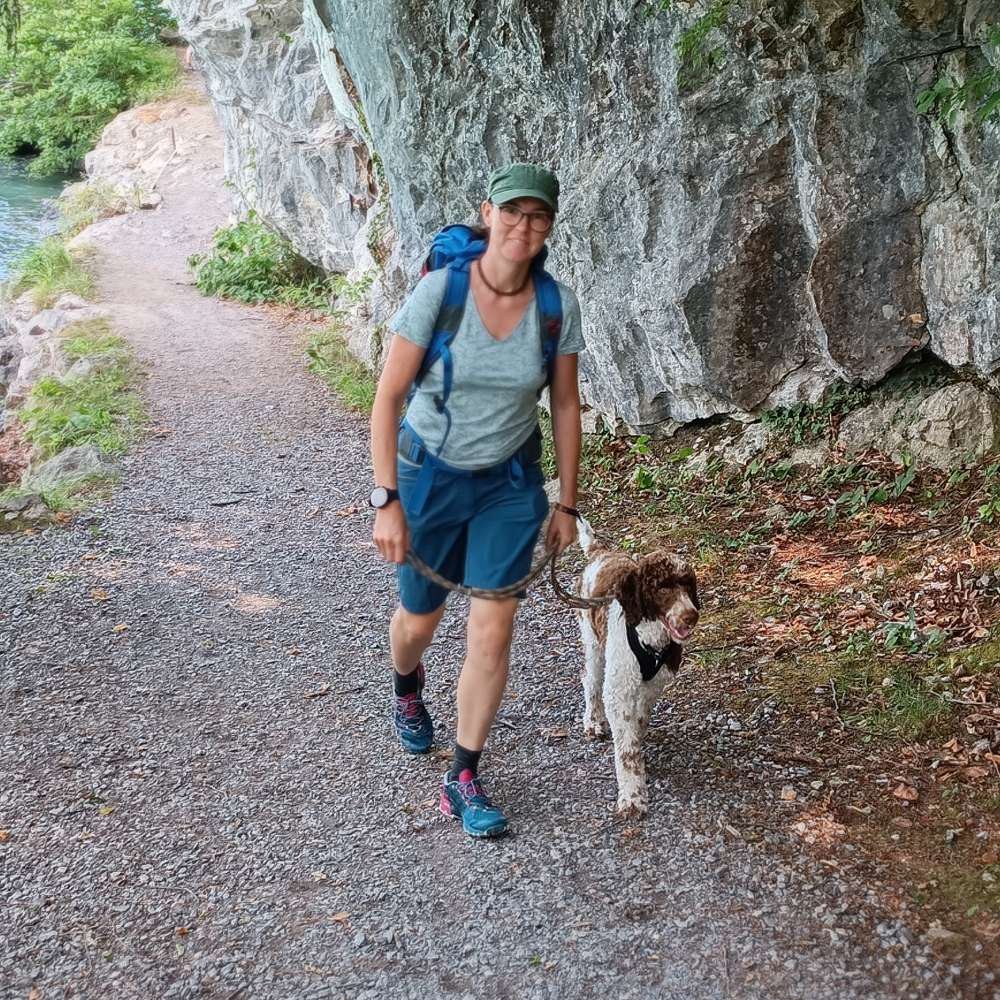Hundetreffen-Gemeinsame Spatzierrunde-Profilbild