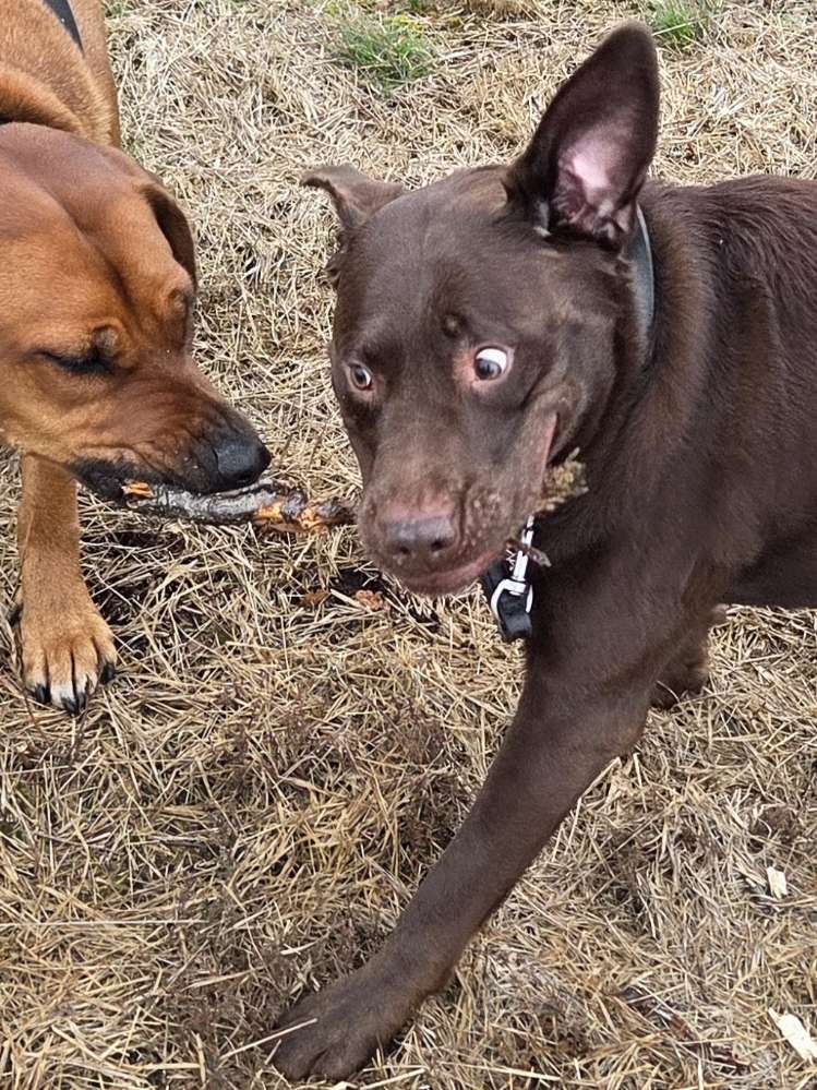 April April🤪 Banner