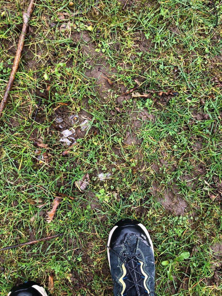 Giftköder-Scherben-Profilbild