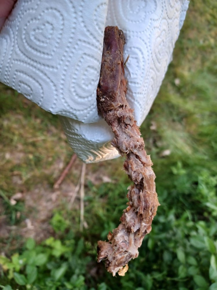 Giftköder-Möglicher Giftköder-Profilbild