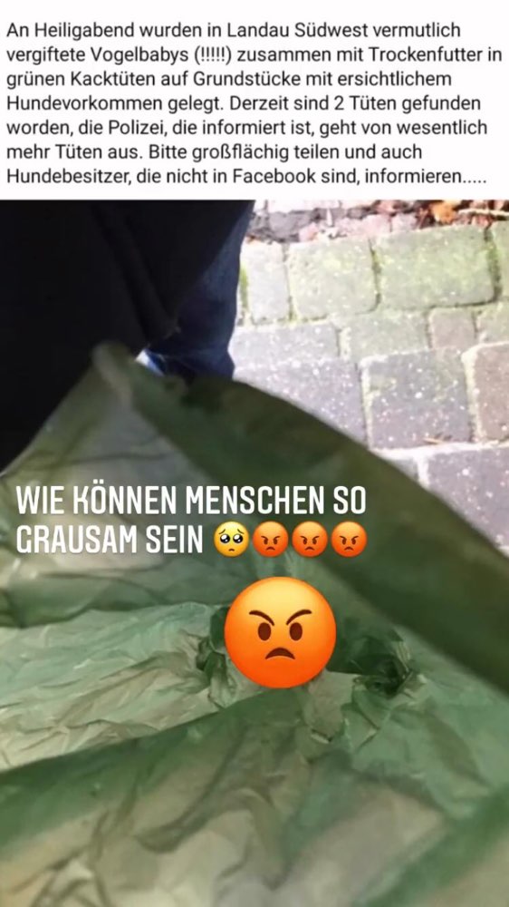 Giftköder-Vergiftete Vogelbabys-Profilbild