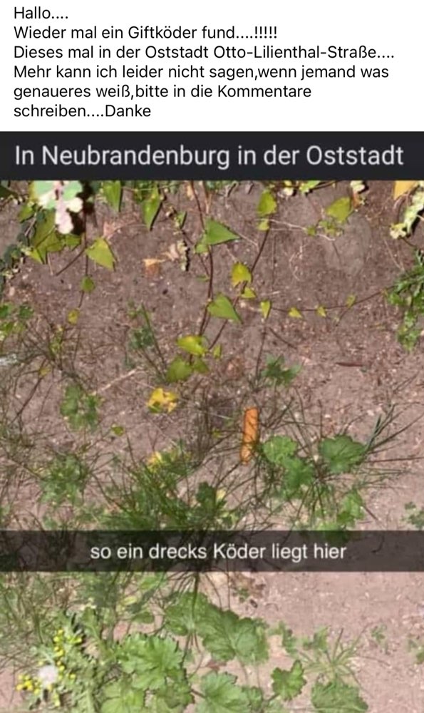 Giftköder-Giftköder Oststadt-Profilbild